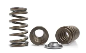 Barra BA FG Falcon EXTREME Race Spring | Retainers