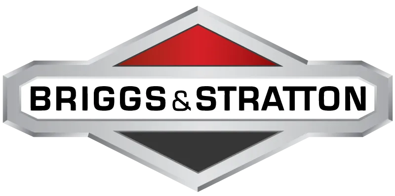 Briggs and Stratton 796122 Carburetor