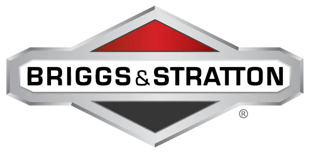 Briggs and Stratton 796122 Carburetor